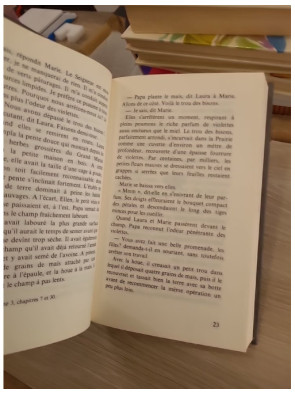 La petite maison dans la prairie Tome 6 : La petite ville dans la prairie