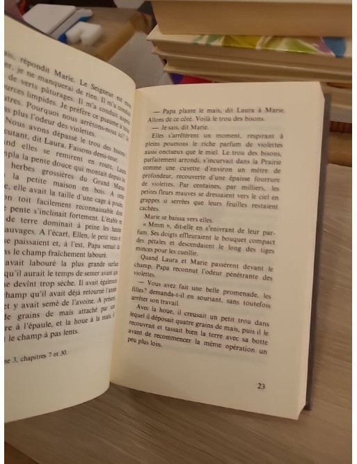La petite maison dans la prairie Tome 6 : La petite ville dans la prairie