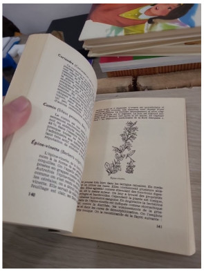 Les plantes et la santé