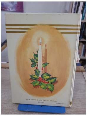 La jeunesse de Heidi