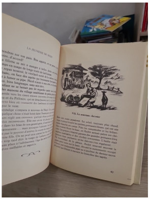 La jeunesse de Heidi