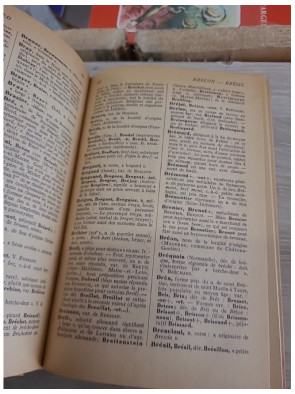 Dictionnaire étymologique des noms de famille et prénoms de France