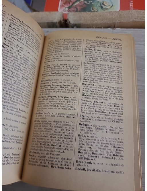 Dictionnaire étymologique des noms de famille et prénoms de France