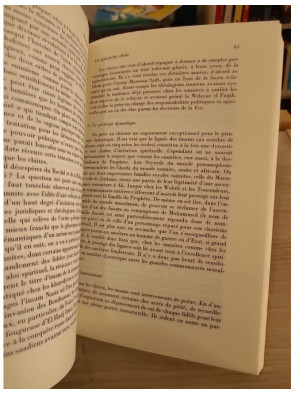 Pouvoirs : L'Islam dans la cité