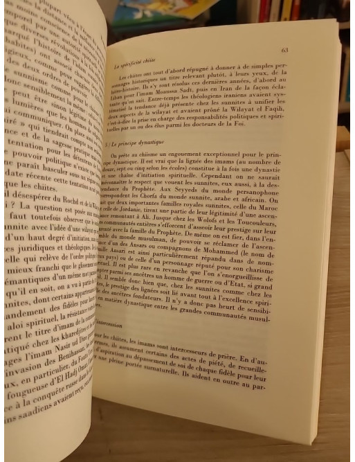 Pouvoirs : L'Islam dans la cité