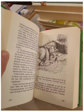 La petite maison dans la prairie Tome 2 - Au bord du ruisseau