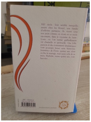 La Chambre des dames - Roman historique médiéval