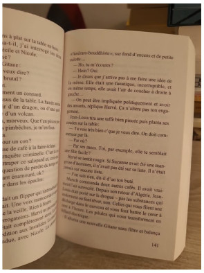 Rouge Karma - Thriller historique et policier entre Paris et l’Inde