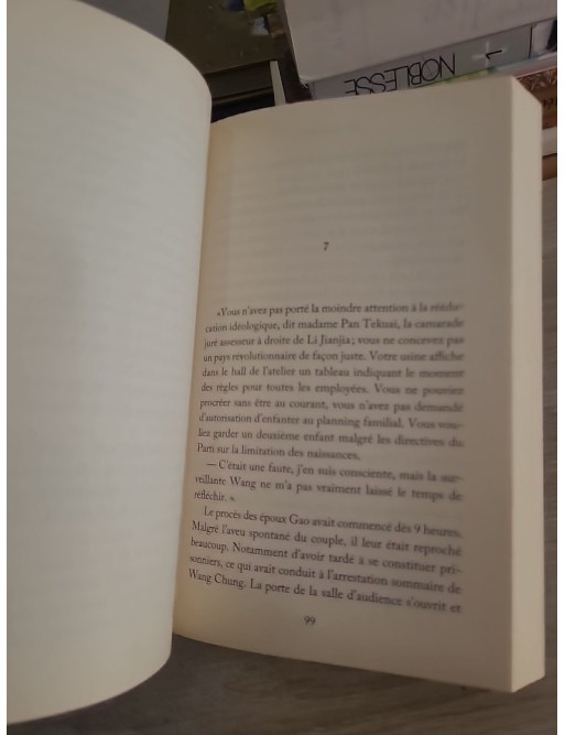 Jaune camion - Roman noir en Chine avec le juge Li