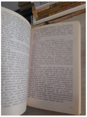 La Peau sur les os - Roman fantastique et horrifique