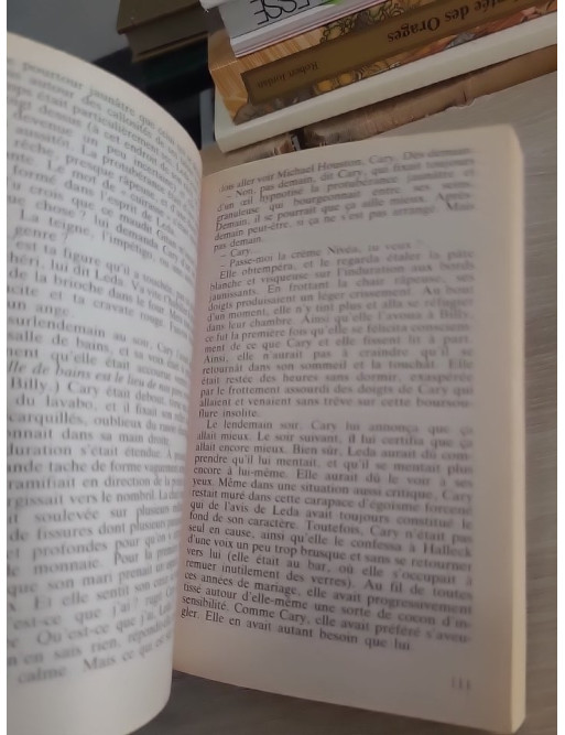 La Peau sur les os - Roman fantastique et horrifique