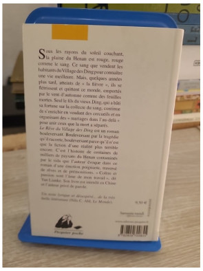 Le Rêve du Village des Ding - Roman contemporain chinois
