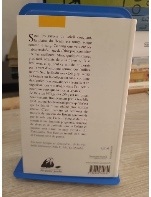 Le Rêve du Village des Ding - Roman contemporain chinois