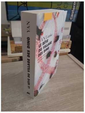 Le Rêve du Village des Ding - Roman contemporain chinois