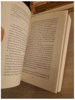 Le Rêve du Village des Ding - Roman contemporain chinois