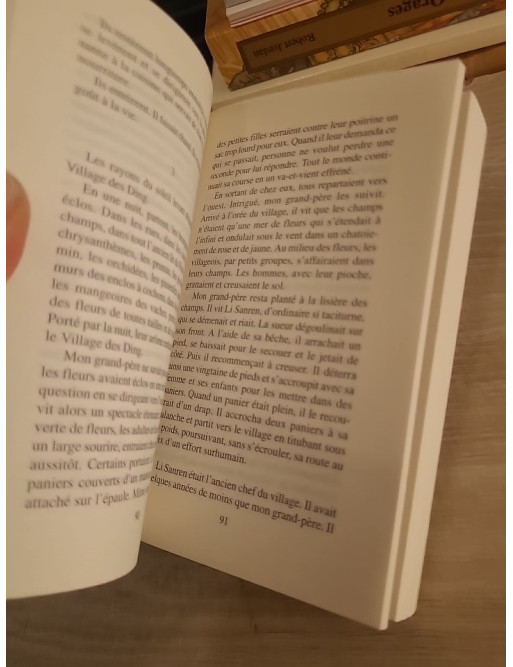 Le Rêve du Village des Ding - Roman contemporain chinois