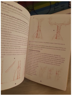 Greffez tous les arbres et arbustes - Guide pratique espèce par espèce