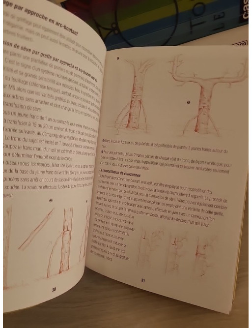 Greffez tous les arbres et arbustes - Guide pratique espèce par espèce