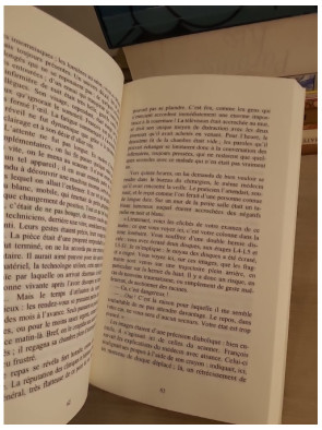 Le Fils du Phénix - Roman de résilience et renaissance