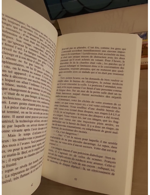 Le Fils du Phénix - Roman de résilience et renaissance