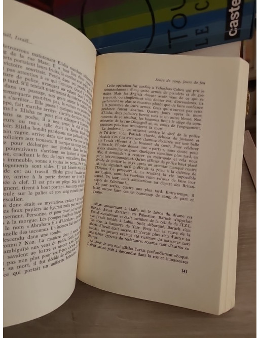 Israël, Israël... Histoire du groupe Stern (1940-1948)