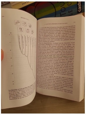 Il était une fois nos ancêtres - Une histoire de l'évolution