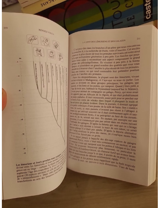 Il était une fois nos ancêtres - Une histoire de l'évolution