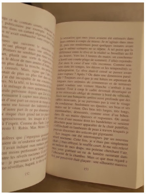 Les Noyés du Clain - Thriller inspiré d'une histoire vraie