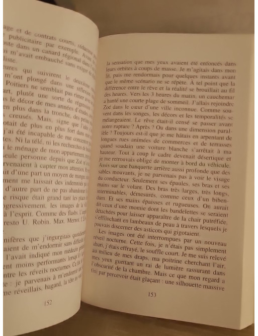 Les Noyés du Clain - Thriller inspiré d'une histoire vraie