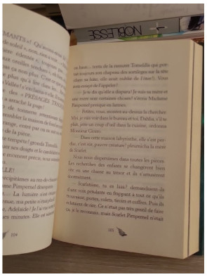 Fairy Oak Tome 1 - Le Secret des Jumelles - Roman jeunesse fantastique