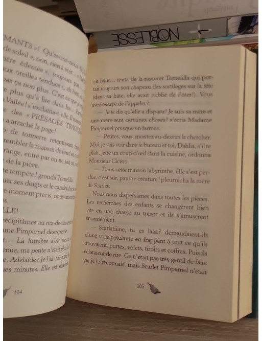 Fairy Oak Tome 1 - Le Secret des Jumelles - Roman jeunesse fantastique