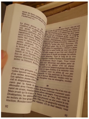 Loup Solitaire Tome 10 - Dans les entrailles de Torgar - Livre dont vous êtes le héros