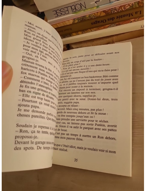 Chair de Poule Tome 20 - Souhaits dangereux - Roman jeunesse fantastique