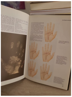 Les Lignes de la main