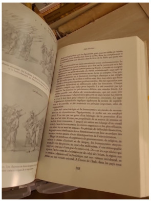 Histoire du Moyen-Orient - Bernard Lewis