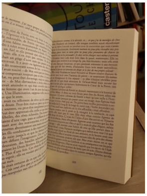 La Roue Du Temps - Tome 6 : Le Dragon Réincarné