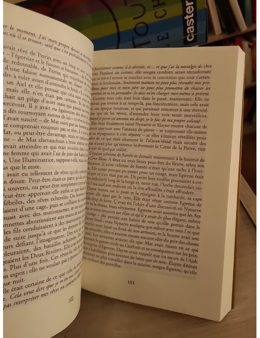 La Roue Du Temps - Tome 6 : Le Dragon Réincarné