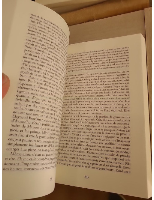 La Roue Du Temps - Tome 7 : La Montée des Orages