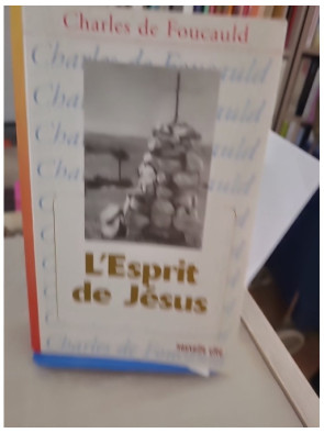 L'Esprit de Jésus - Méditations et Explications de l'Evangile (1896-1915) - Tome 8