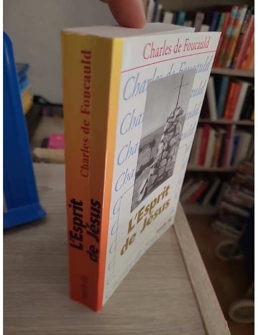 L'Esprit de Jésus - Méditations et Explications de l'Evangile (1896-1915) - Tome 8