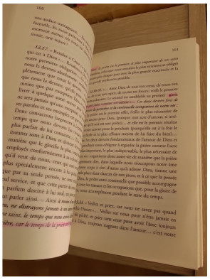 L'Esprit de Jésus - Méditations et Explications de l'Evangile (1896-1915) - Tome 8
