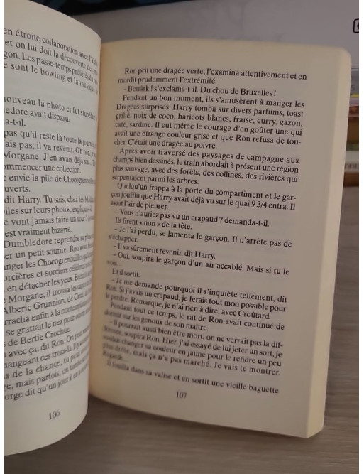 Harry Potter à l'école des sorciers - Tome 1 de la saga Harry Potter