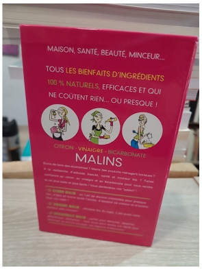Citron, Vinaigre, Bicarbonate Malins - Julie Frédérique et Michel Droulhiole