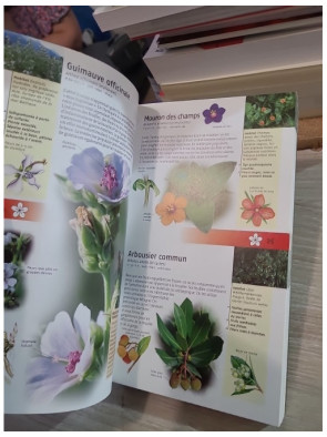350 Plantes médicinales - Guide d'identification des plantes d'Europe