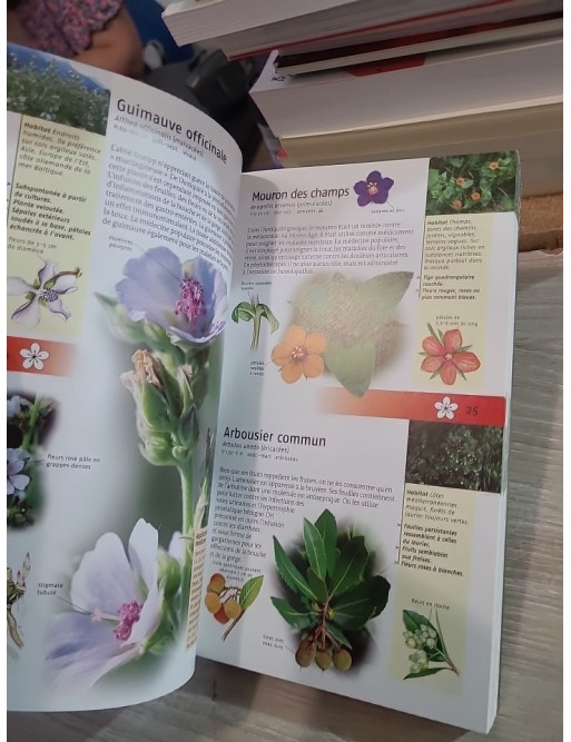 350 Plantes médicinales - Guide d'identification des plantes d'Europe