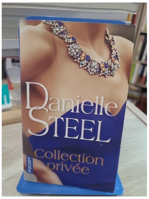 Collection privée - Roman de Danielle Steel
