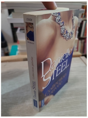 Collection privée - Roman de Danielle Steel