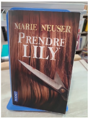 Prendre Lily - Thriller psychologique de Marie Neuser