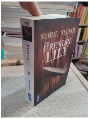 Prendre Lily - Thriller psychologique de Marie Neuser
