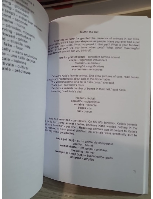 Apprendre l'anglais avec des histoires pour débutants - Améliorer votre compréhension orale et écrite